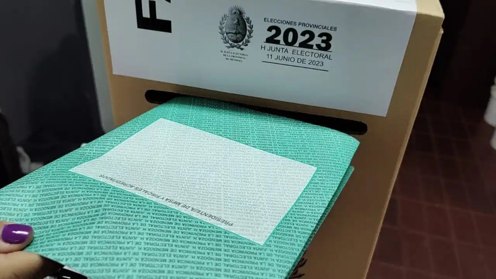 Diputados aprobó la suspensión de las PASO en Mendoza